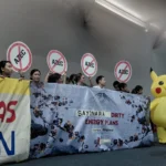 Pikachu Protest at COP30: Japan’s Fossil Fuel Backing
