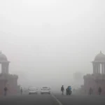 delhi